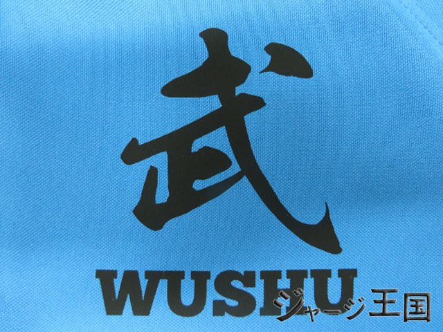 とってもこだわりのあるかっこいい 中国武術 青藍拳社様のジャージ
